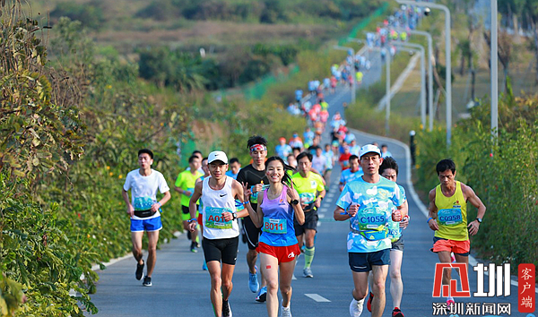 深圳最美马拉松_深圳马拉松2021_深圳马拉松选手排名